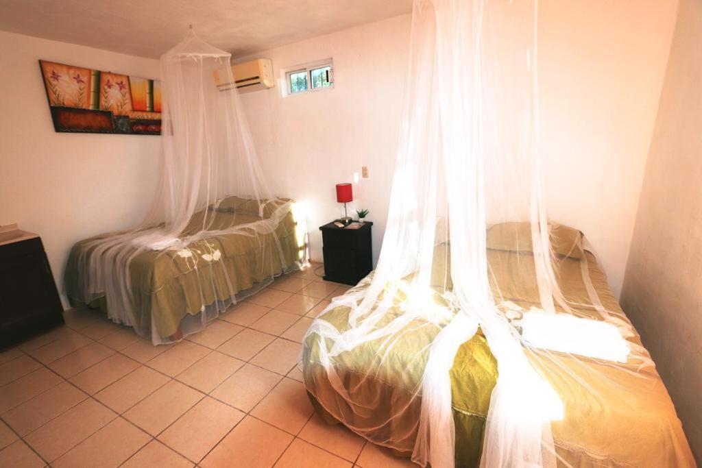 Bed and Breakfast Otoch Béek Calakmul à Chicanna Chambre photo